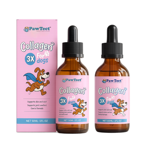 PawTect™ Premium Flüssiges Kollagen